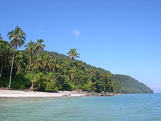 Parque natural Gorgona