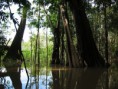 /album/fotogaleria/amacayacu4-jpg/
